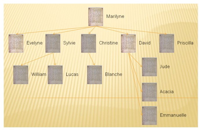 La fiabilité des manuscrits du Nouveau Testament3
