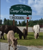 Screen Shot 2015-06-09 at 10.49.12 AM