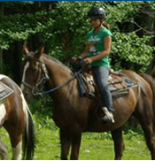 Screen Shot 2015-06-09 at 10.54.42 AM